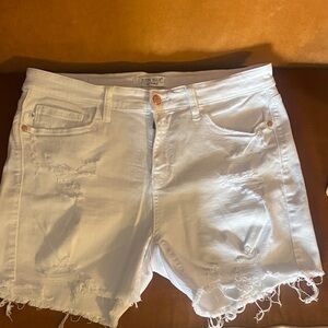 Judy Blue Women's Light Distressed Jean Shorts